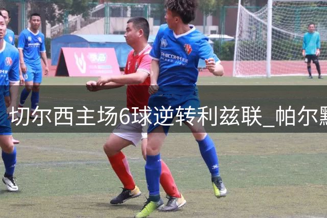切尔西主场6球逆转利兹联 帕尔默维尔贝克双双双响