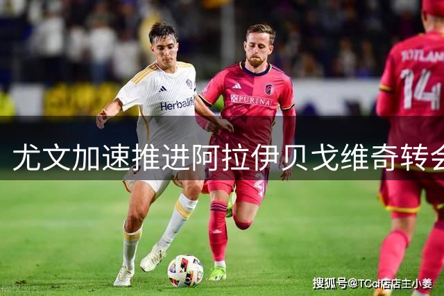 尤文加速推进阿拉伊贝戈维奇转会谈判，锁定天才前锋