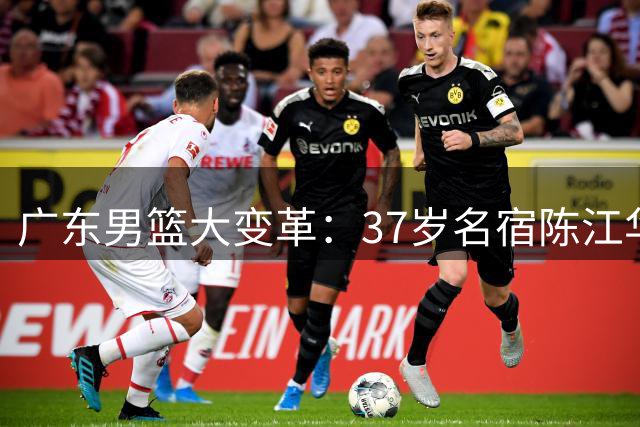 广东男篮大变革：37岁名宿陈江华或掌舵新篇章
