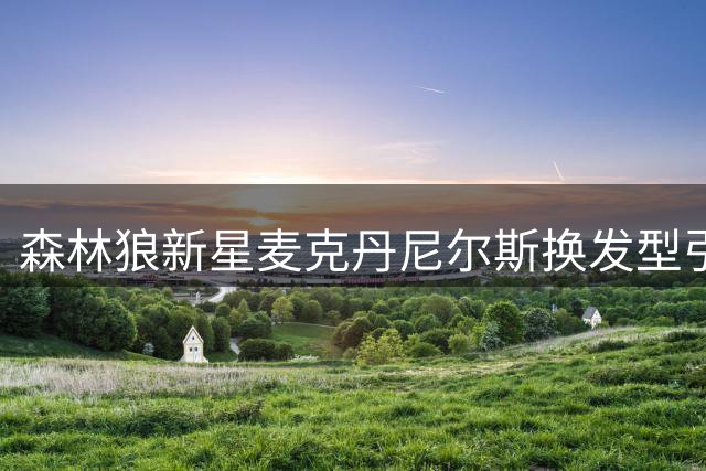 森林狼新星麦克丹尼尔斯换发型引热议，训练照展现出色状态